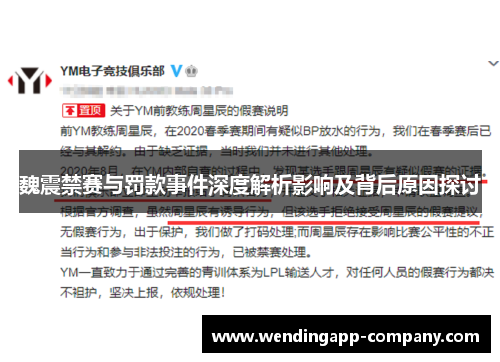 魏震禁赛与罚款事件深度解析影响及背后原因探讨