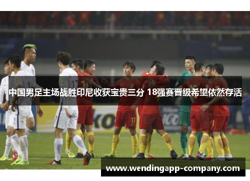 中国男足主场战胜印尼收获宝贵三分 18强赛晋级希望依然存活